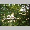 DSCF0075.JPG